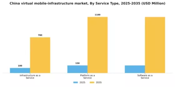 China Virtual Mobile Infrastructure Market Segment Image 3