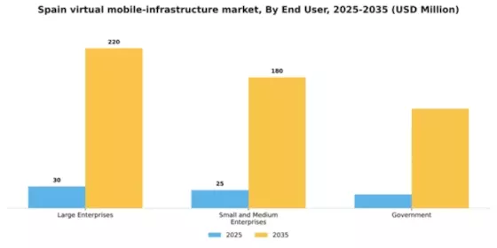 Spain Virtual Mobile Infrastructure Market Segment Image 2