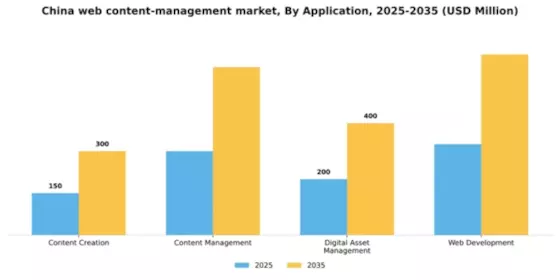China Web Content Management Market Segment Image 0