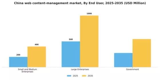 China Web Content Management Market Segment Image 2