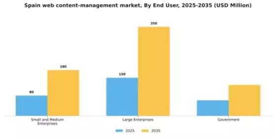 Spain Web Content Management Market Segment Image 2