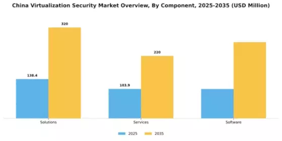 China Virtualization Security Market Segment Image 0