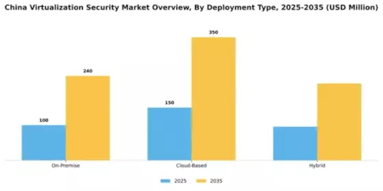 China Virtualization Security Market Segment Image 1