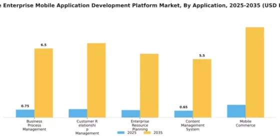 Europe Enterprise Mobile Application Development Platform Market Segment Image 0