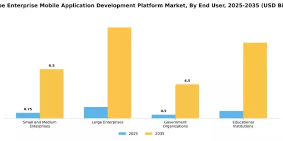 Europe Enterprise Mobile Application Development Platform Market Segment Image 2