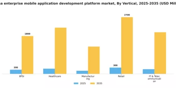 China Enterprise Mobile Application Development Platform Market Segment Image 2