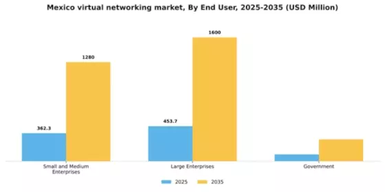 Mexico Virtual Networking Market Segment Image 2