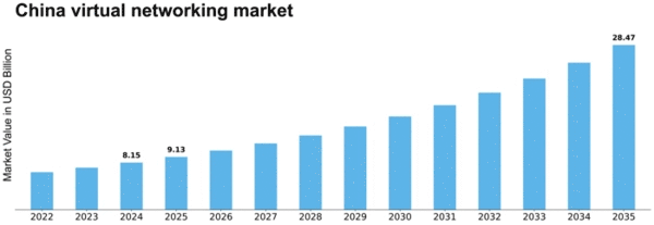 China Virtual Networking Market Size