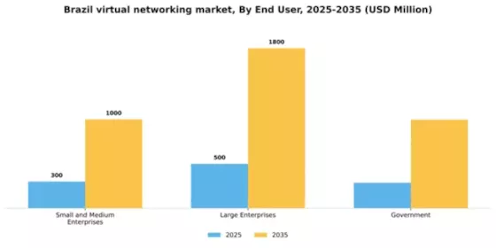 Brazil Virtual Networking Market Segment Image 2