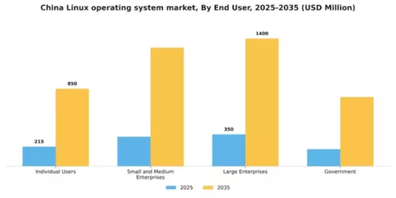 China Linux Operating System Market Segment Image 3