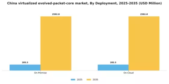 China Virtualized Evolved Packet Core Market Segment Image 2