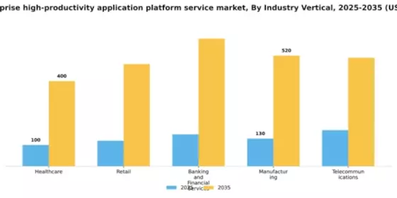 GCC Enterprise High Productivity Application Platform Service Market Segment Image 2