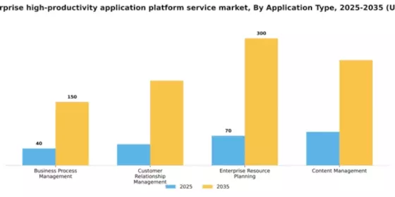 Spain Enterprise High Productivity Application Platform Service Market Segment Image 0