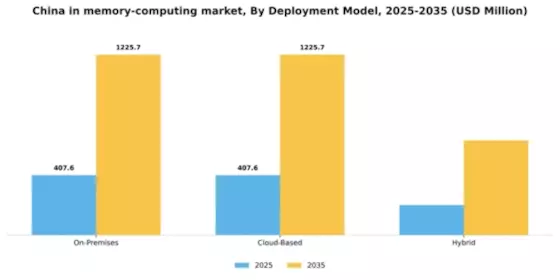 China In Memory Computing Market Segment Image 1