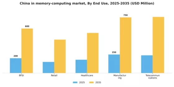 China In Memory Computing Market Segment Image 2