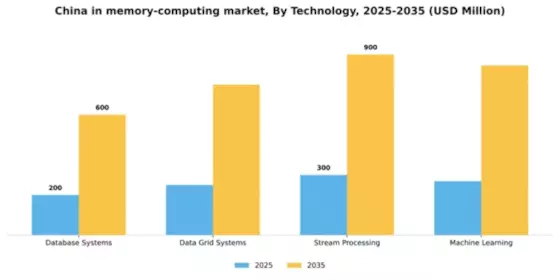 China In Memory Computing Market Segment Image 3