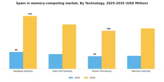 Spain In Memory Computing Market Segment Image 3