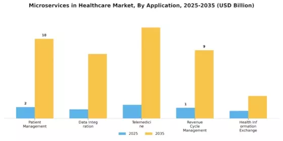 Microservices Healthcare Market Segment Image 0
