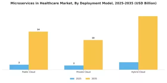 Microservices Healthcare Market Segment Image 1