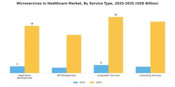 Microservices Healthcare Market Segment Image 3