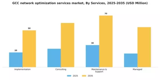 GCC Network Optimization Services Market Segment Image 1