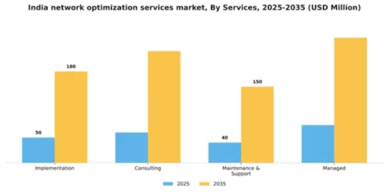 India Network Optimization Services Market Segment Image 1