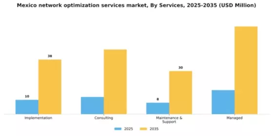 Mexico Network Optimization Services Market Segment Image 1