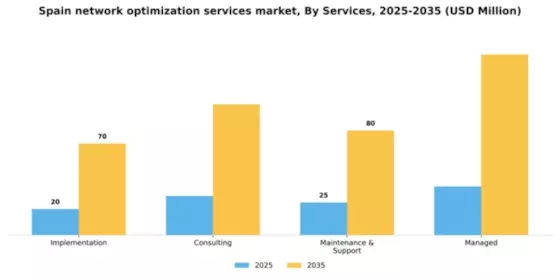 Spain Network Optimization Services Market Segment Image 1