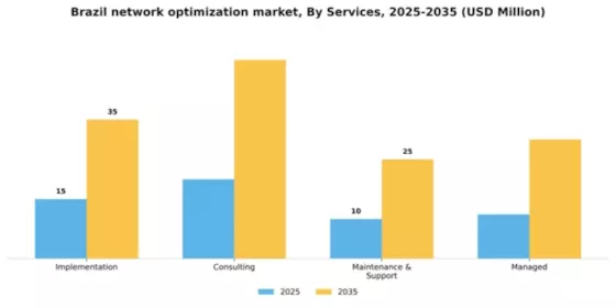Brazil Network Optimization Services Market Segment Image 1