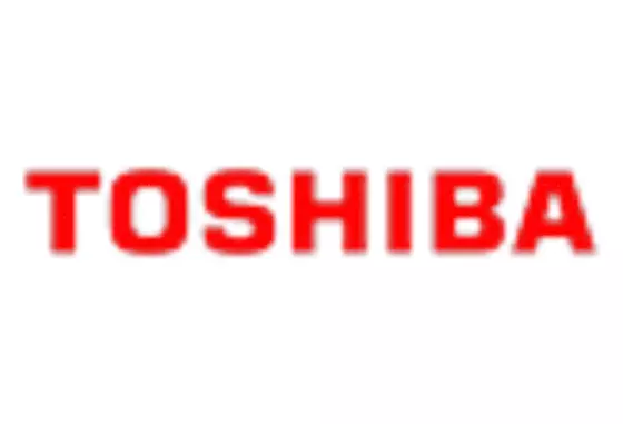 Japan Structural Health Monitoring Market key player