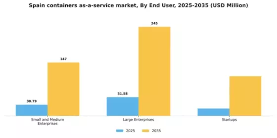 Spain Containers As A Service Market Segment Image 1
