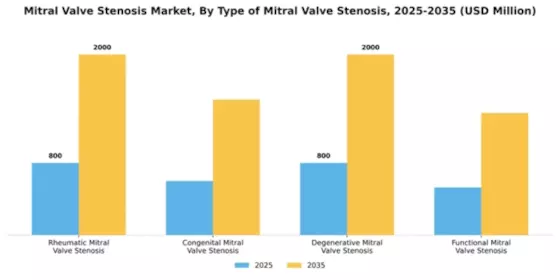 Mitral Valve Stenosis Market Segment Image 3