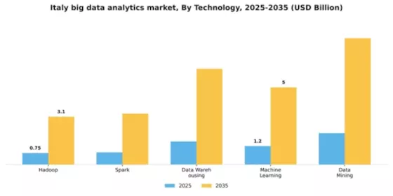 Italy Big Data Analytics Market Segment Image 2