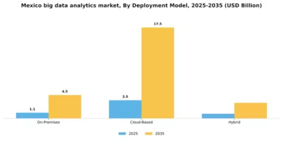 Mexico Big Data Analytics Market Segment Image 0