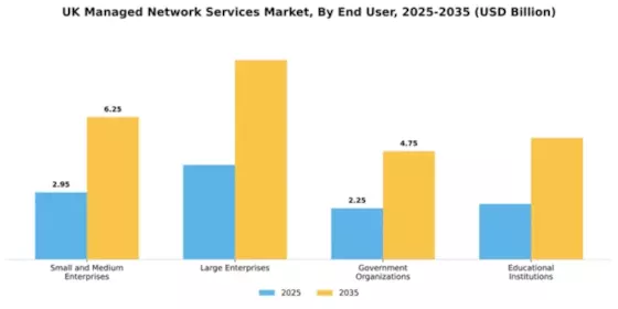 UK Managed Network Services Market Segment Image 1