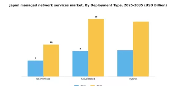 Japan Managed Network Services Market Segment Image 1