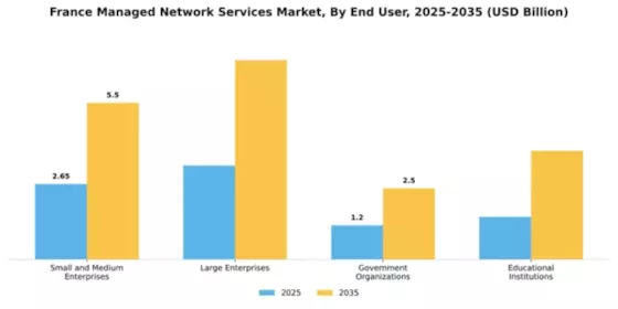 France Managed Network Services Market Segment Image 1