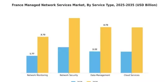 France Managed Network Services Market Segment Image 2