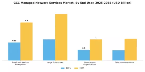 GCC Managed Network Services Market Segment Image 1
