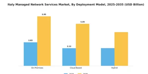 Italy Managed Network Services Market Segment Image 0