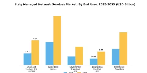 Italy Managed Network Services Market Segment Image 1