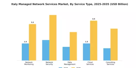 Italy Managed Network Services Market Segment Image 2