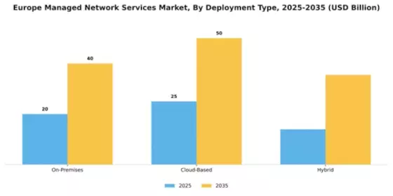 Europe Managed Network Services Market Segment Image 0