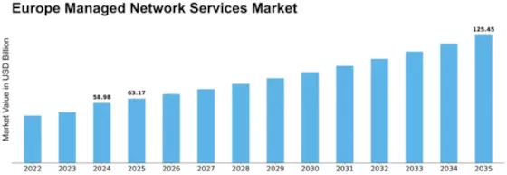 Europe Managed Network Services Market Size