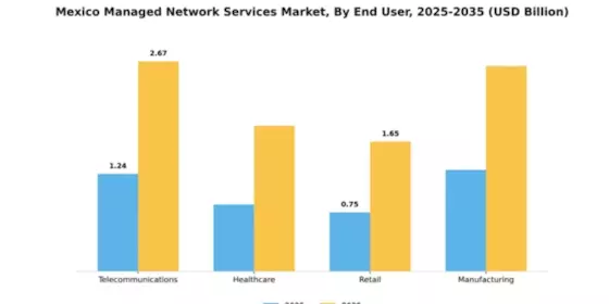 Mexico Managed Network Services Market Segment Image 2