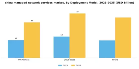 China Managed Network Services Market Segment Image 0