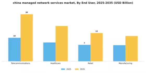 China Managed Network Services Market Segment Image 1