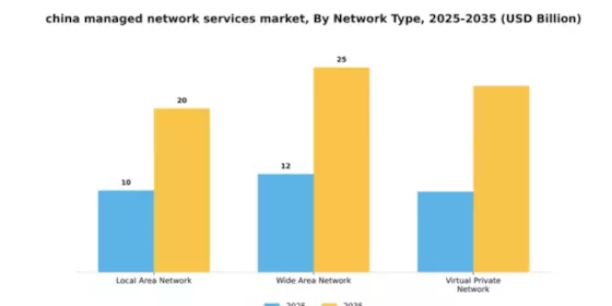 China Managed Network Services Market Segment Image 2