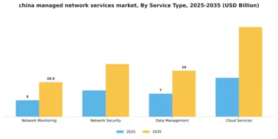 China Managed Network Services Market Segment Image 3