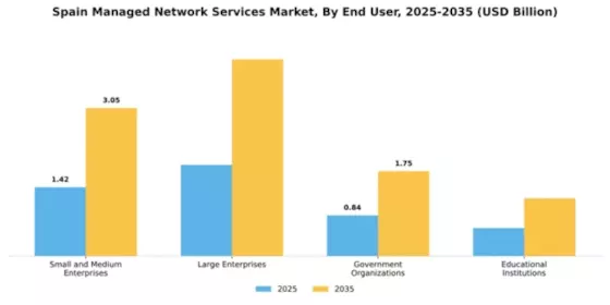 Spain Managed Network Services Market Segment Image 1